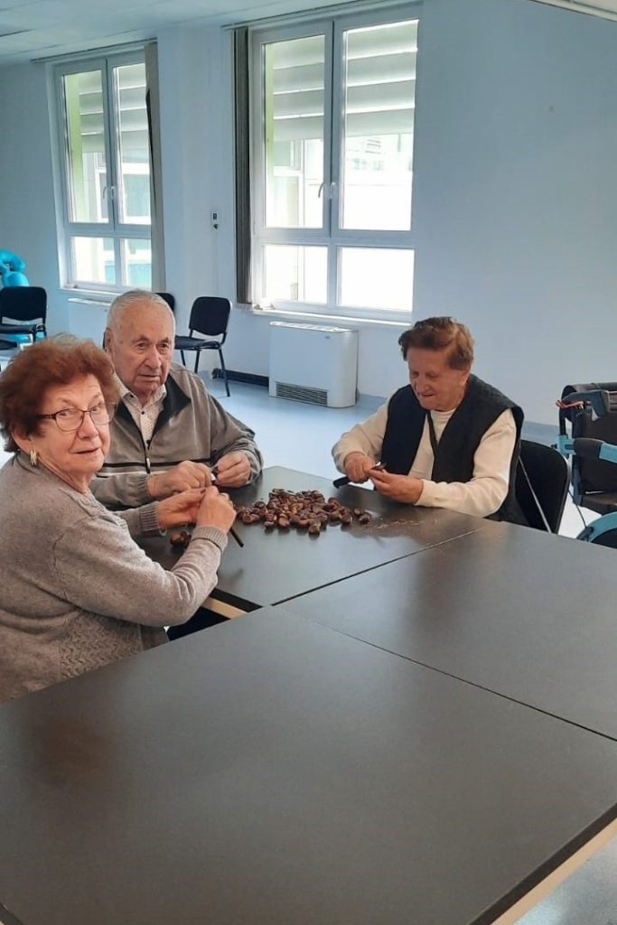 Senecura dom za starije