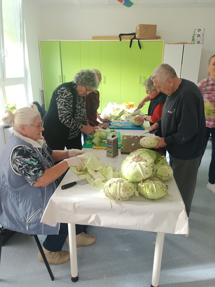 Senecura dom za starije
