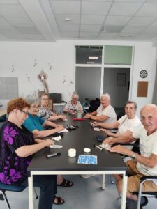 Senecura dom za starije