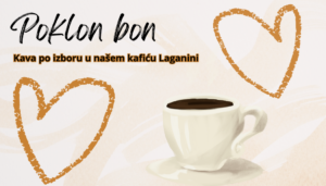 Senecura dom za starije