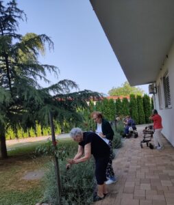 Senecura dom za starije