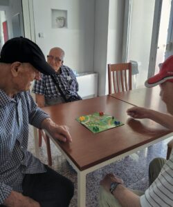 Senecura dom za starije