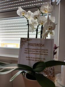 SeneCura dom za starije