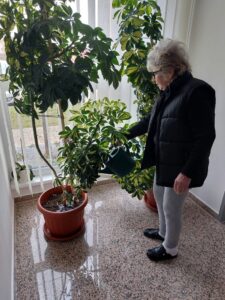 SeneCura dom za starije